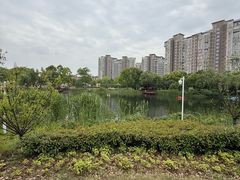 -新江湾城公园