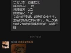 -伟伟宠物医院·CT影像中心·瑞派犬猫综合性门诊(汉口总院)