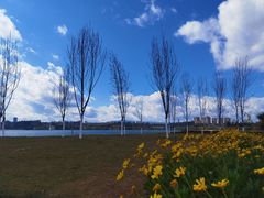 -安宁市宁湖森林公园