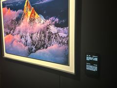 -罗红摄影艺术馆