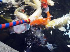 -鸿通城购物中心