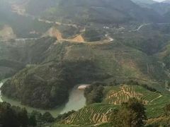 -文雅轩茶叶(锦和越界田林坊店)