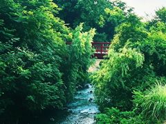 -羊山湖公园