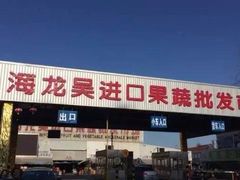 -上海龙吴水胜海发市场