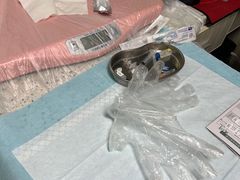 -半岛宠物医院24小时(科华中路店)