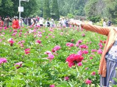 -黑龙江省森林植物园