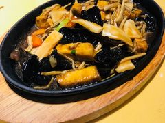 -素虎小呆鸟(西二旗店)