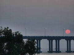 -宝安西湾红树林湿地公园