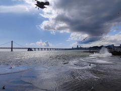 -星海广场