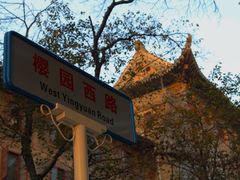 -武汉大学老图书馆