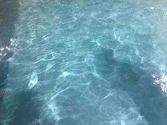 -黄金海岸水上乐园