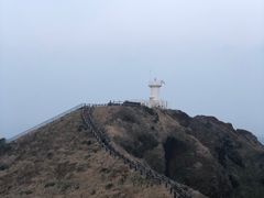 -涉地可支