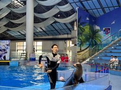 -合肥海洋世界