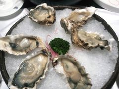 -红鼎豆捞·非遗鲍皇汤火锅(宝丰路店)