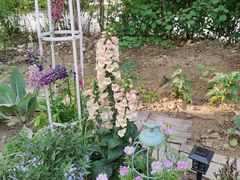 -首开·常青藤二期