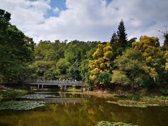 -深圳国际园林花卉博览园