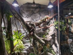 -Zoolung Zoolung动物主题公园(海信广场店)