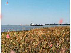 -上海吴淞炮台湾国家湿地公园