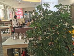 -张记荞面馆