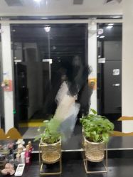 -DEM缔怡美科技美容