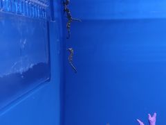 -广州海洋馆