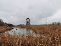 -苏州太湖湖滨国家湿地公园