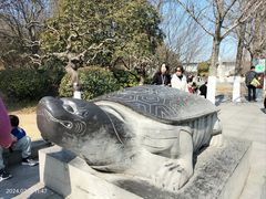 -徐州龟山景区