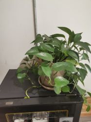 -M+hair salon专业造型沙龙
