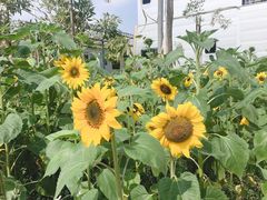 -广州市紫泥堂文化创意园景区
