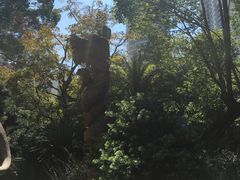 -华雅花园大酒店