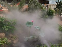 -北戴河集发农业梦想王国