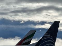 -约翰·菲茨杰拉德·肯尼迪国际机场