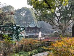 -丁香花园申粤轩·宴会厅