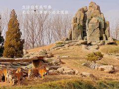 -北京野生动物园