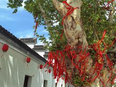 -南京市民俗博物馆(甘熙故居)