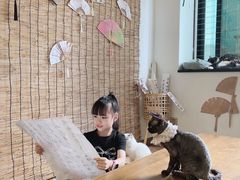 -楼上猫咖(罗湖店)
