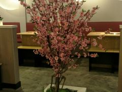 -百味源炭火烤翅 ·夜市大排档(酒仙桥店)