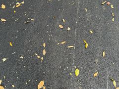 -孔雀湖生态旅游区