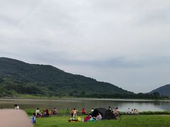 -风云岭森林公园