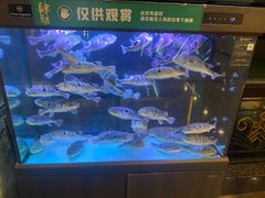 -肆月河豚·淮扬菜·湘菜(华天店)