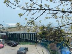 -了不起的考拉咖啡店(高新店)
