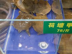 -笨笨甲甲鱼坊(蓝堡湾店)