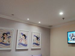 -SILKTONE诗丽堂美容