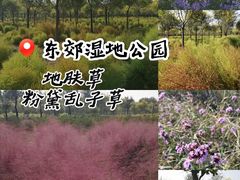 -东郊湿地公园