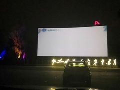 -枫花园汽车电影院(朝阳公园店)