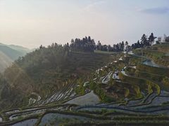 -紫鹊界梯田景区
