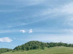 -关山草原