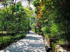 -铁山坪森林公园