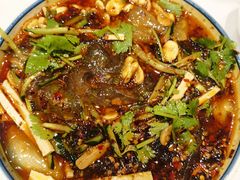 -凯鸽酒楼(大同振兴街店)