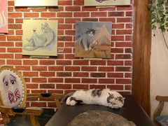 -猫小院猫主题咖啡厅(北锣店)